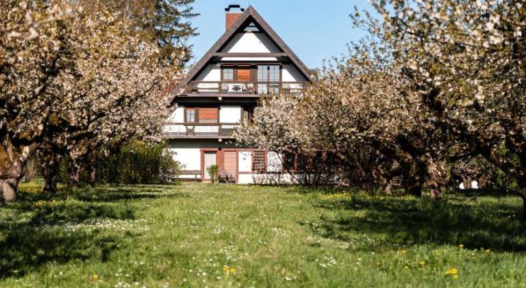 Bed & Breakfast Gottenheim
