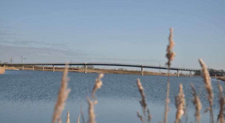 Holiday apartment | Pets allowed in Wangerland