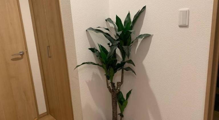 foto19