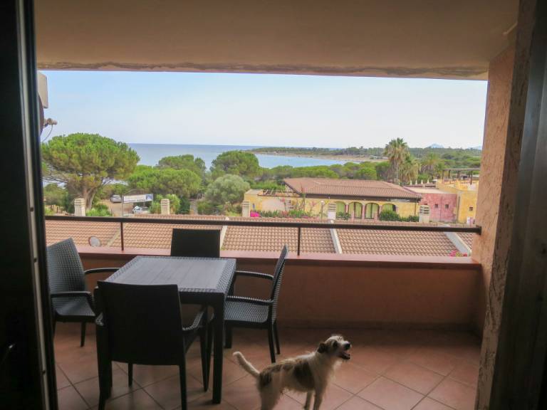 foto11