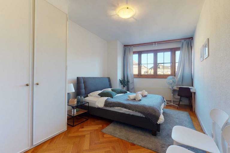 Modernes Appartement mit Blick auf den Jet d Eau