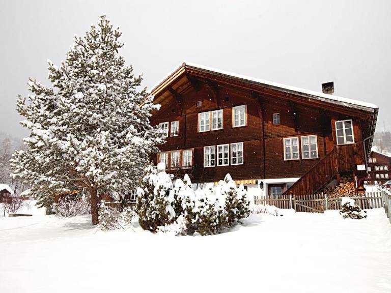 Ferienwohnung Hasliberg