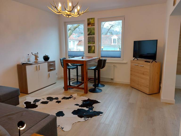 Rental apartment with 1 room for 4 persons in Bad Harzburg