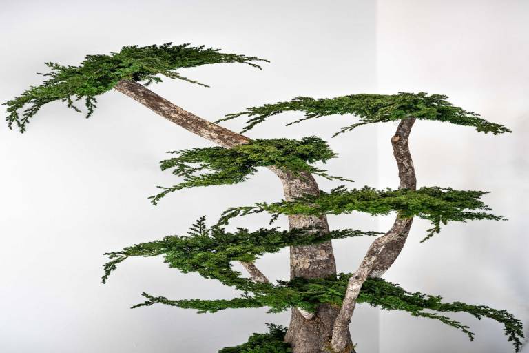 Ferienwohnung  Monaco