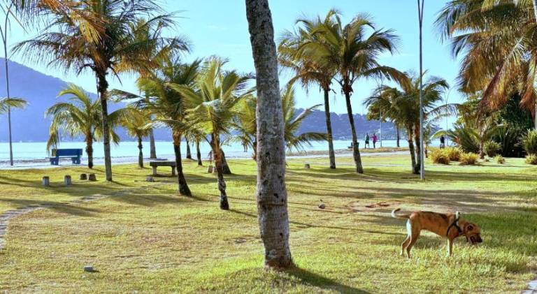 Nice apartment | Next to the beach | Pets are welcome — photo 5