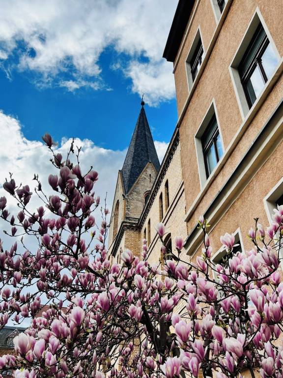Ferienwohnung  Halle (Saale)