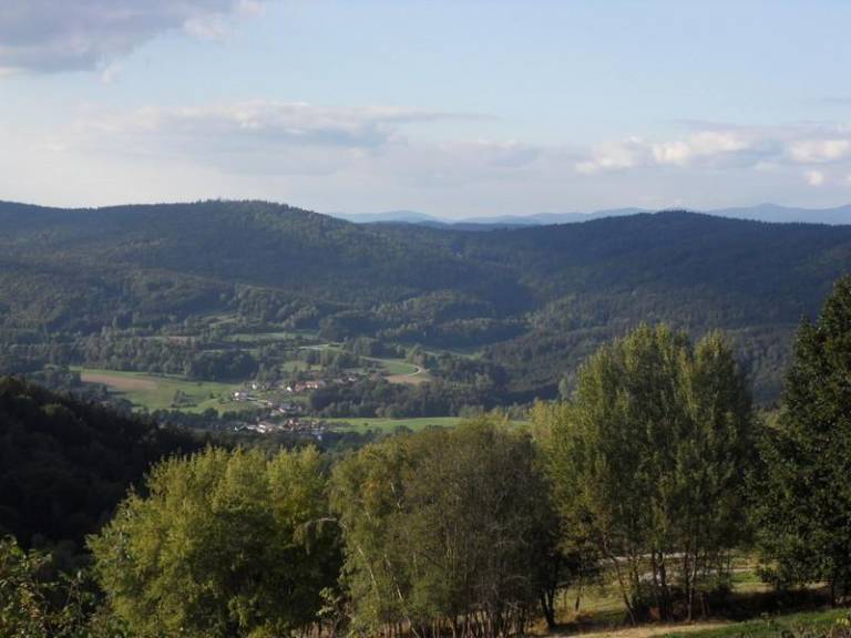 foto25