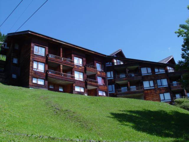 foto2