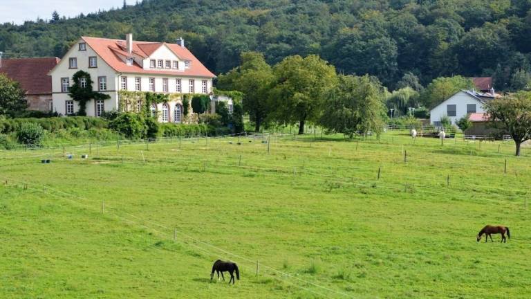 Ferienhaus Bietigheim
