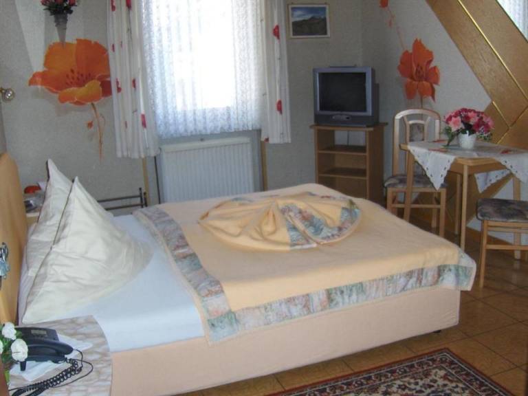 foto6