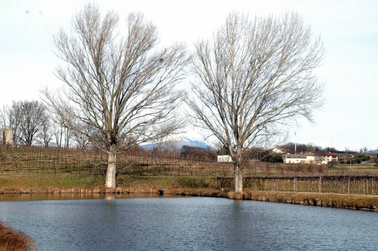 Casale  Volta mantovana