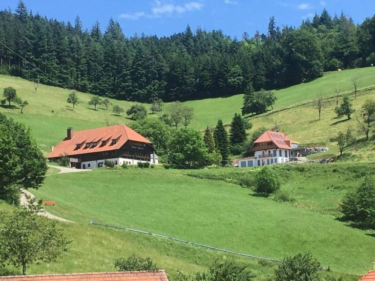 foto37