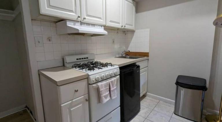 Apartment | Suitable for remote work | Pets are welcome — photo 3
