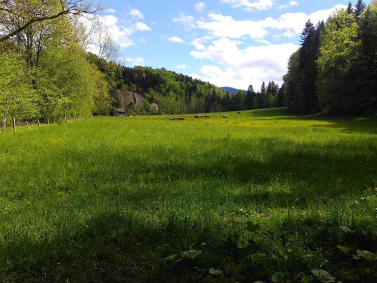 foto19