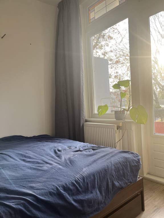 foto11