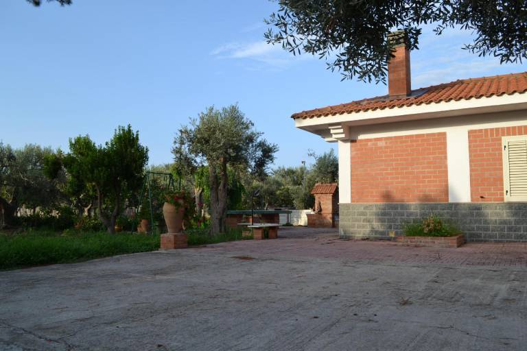 foto2