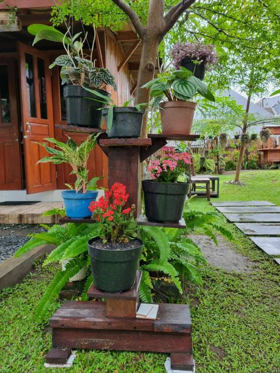 foto11