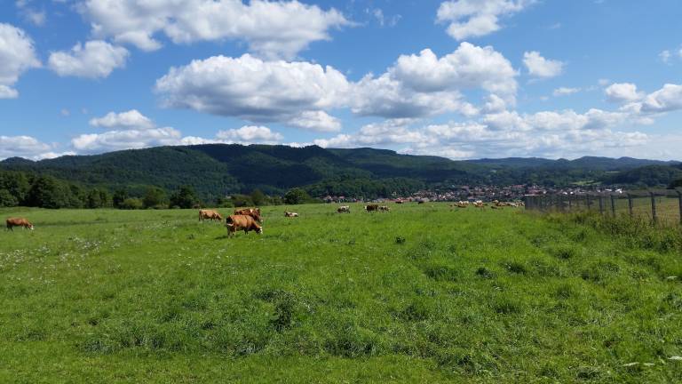 foto13