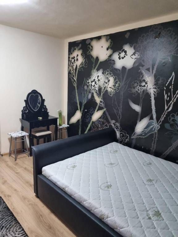 Apartment  Timisoara