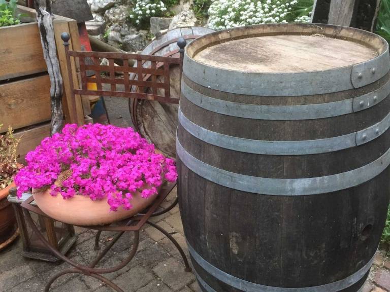 foto17