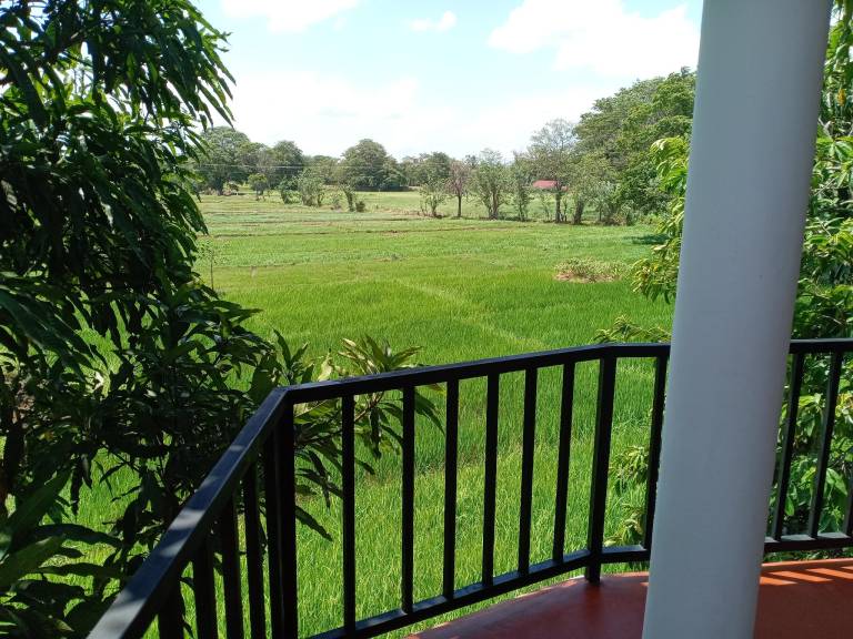 Princess Home stay Sigiriya — photo 2