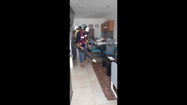foto41