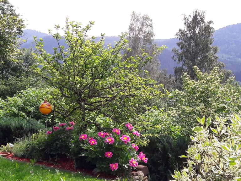Apartment with 1 room for 2 persons — photo 4