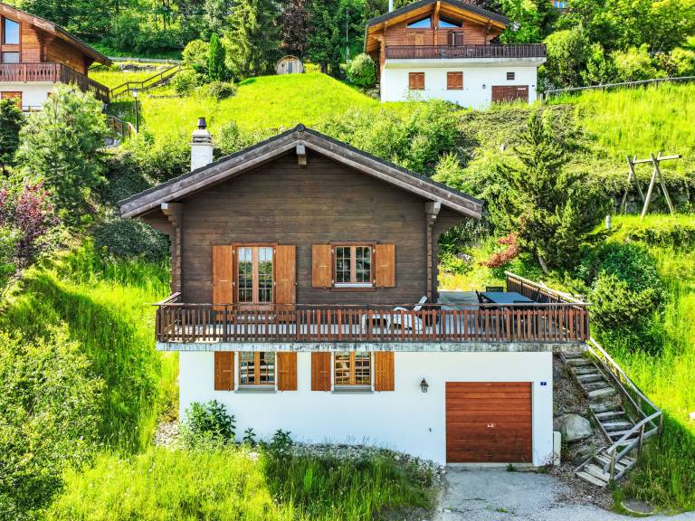 Fully equipped vacation home with yard & terrace | Mountain view | Pets allowed in Veysonnaz