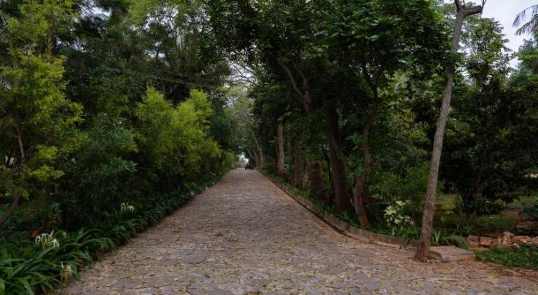 foto48
