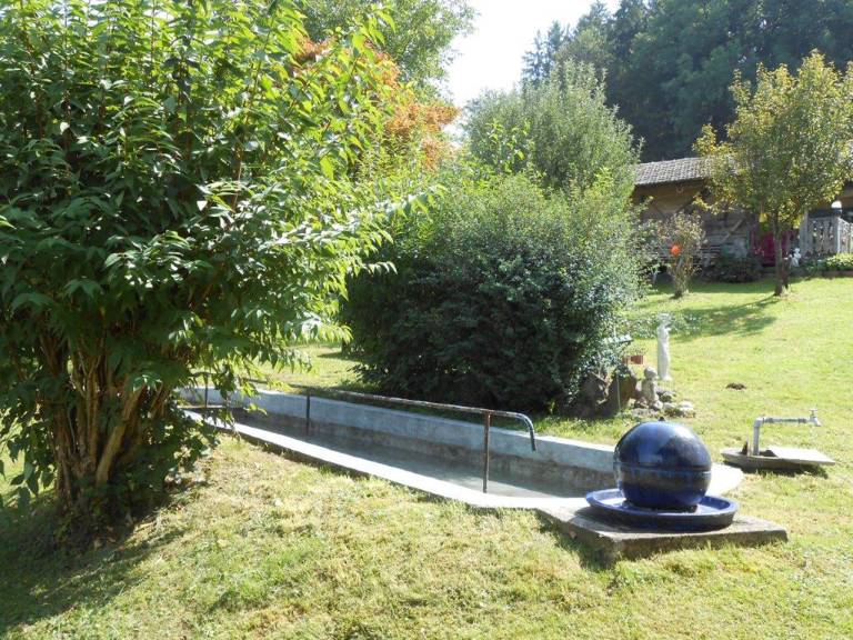 foto13