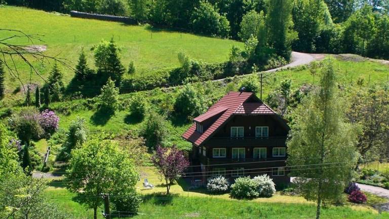 Ferienwohnung Bad Rippoldsau-Schapbach
