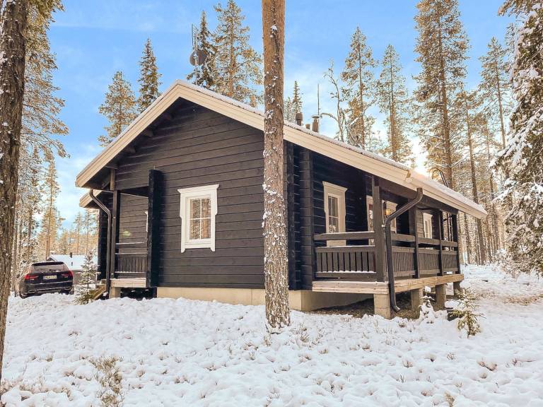 Vacation home with sauna — photo 3