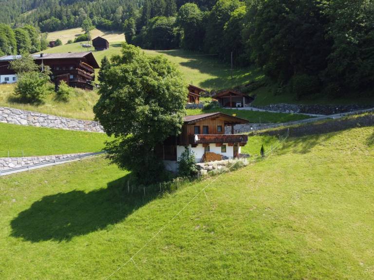 foto1