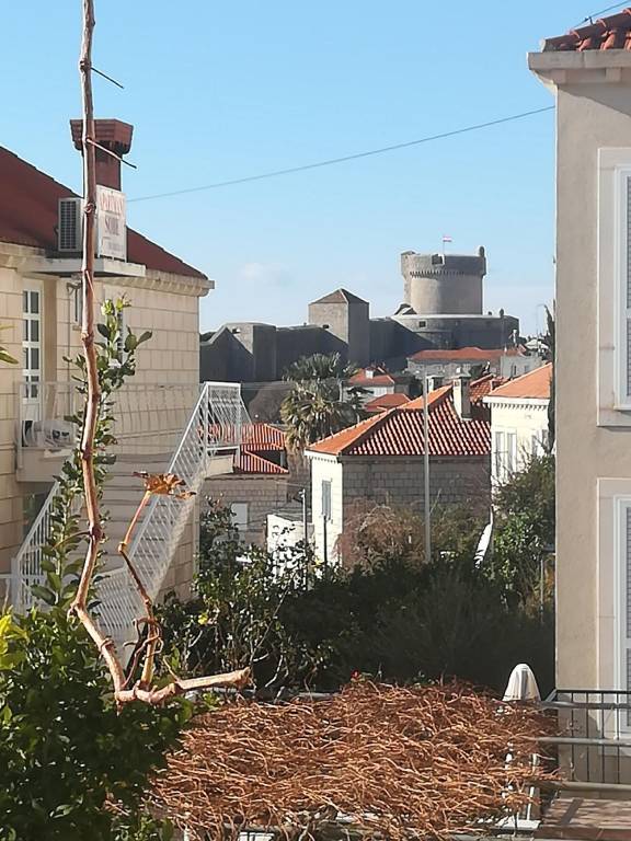 foto19