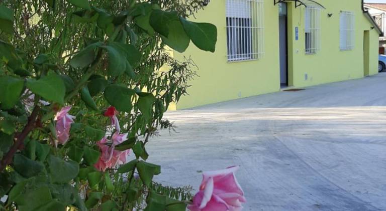 foto4