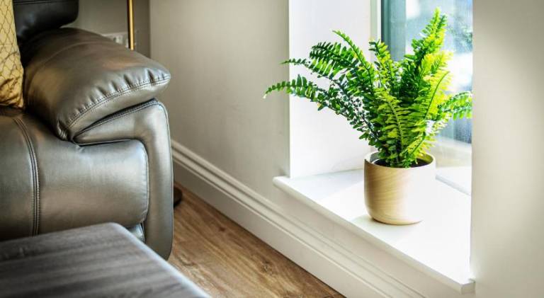 Rental apartment | Pet-friendly in Birmingham