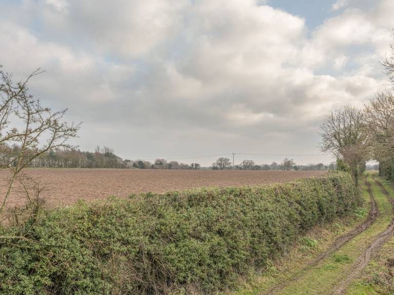 Cottage North Walsham