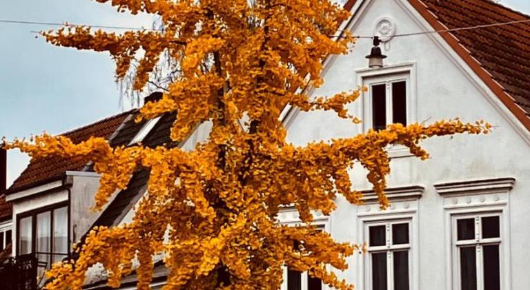 foto19