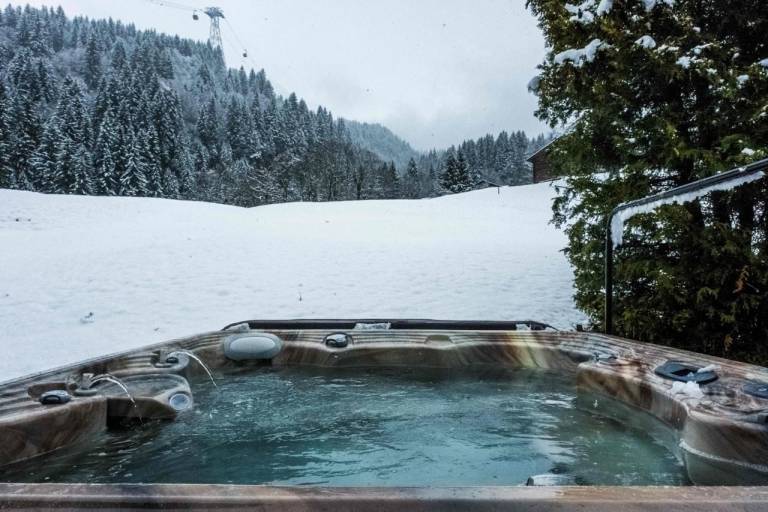 Chalet  Wilderswil