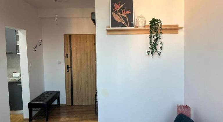 Apartment | Pets are welcome — photo 4