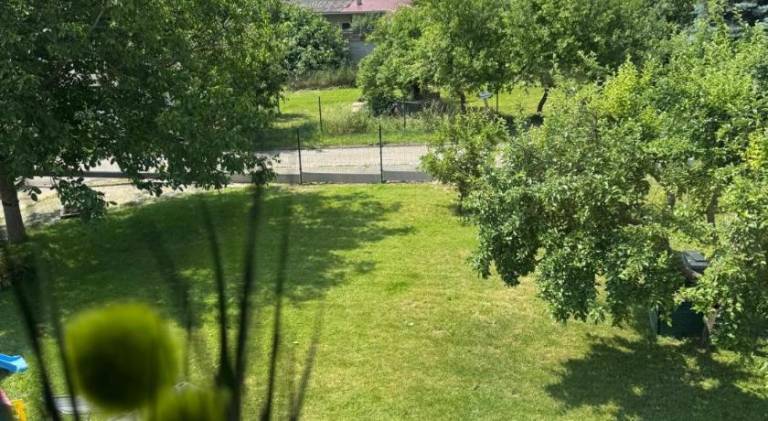 foto33