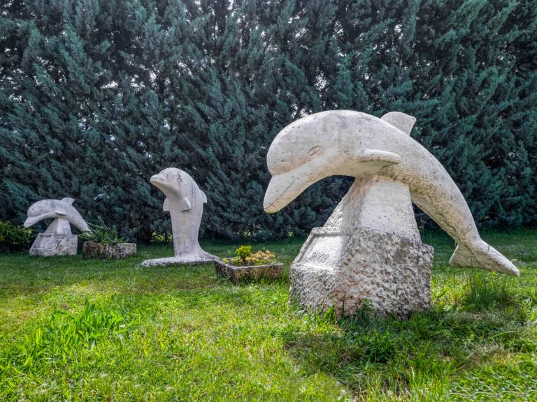 foto21