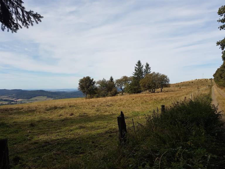 foto15