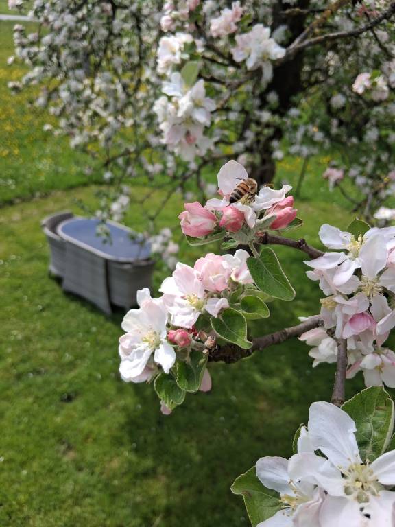 foto24