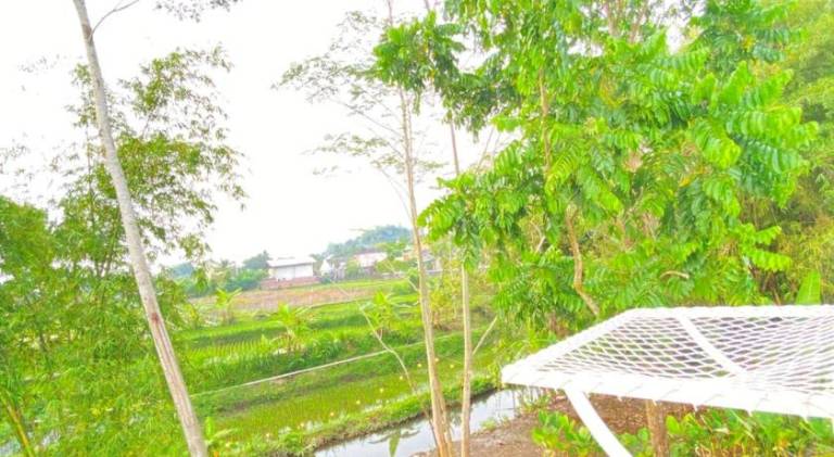 foto6