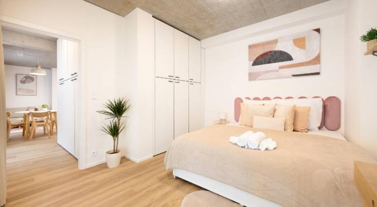 Pleasant rental apartment with terrace | Close to Cathedral of St. Peter and Paul | Good for workation | Pets are welcome in Brno