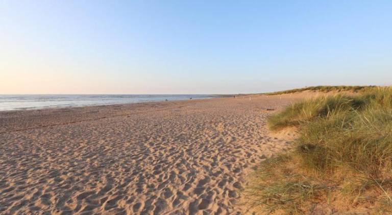 Nice lodge with patio & garden | Beach nearby | Good for workation | Pets are welcome — photo 3