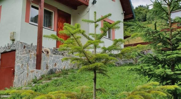 Lodge  Podu Dâmboviței