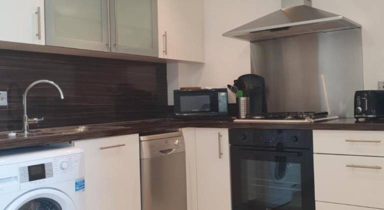 Pleasant apartment | Next to Belfast City Hall | Pets are welcome — photo 4