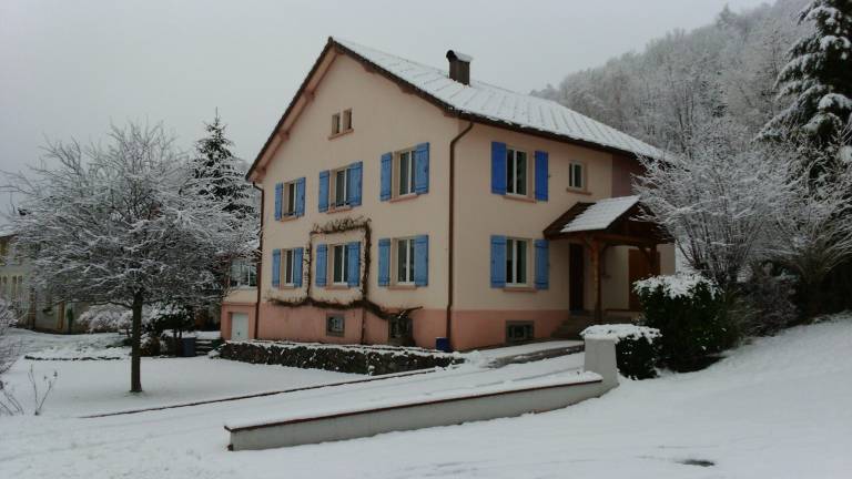 Ferienhaus La Bresse